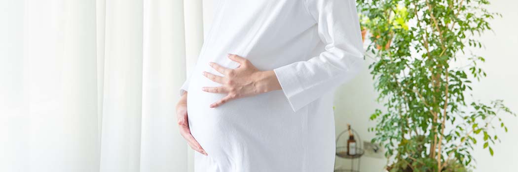 妊婦歯科健診